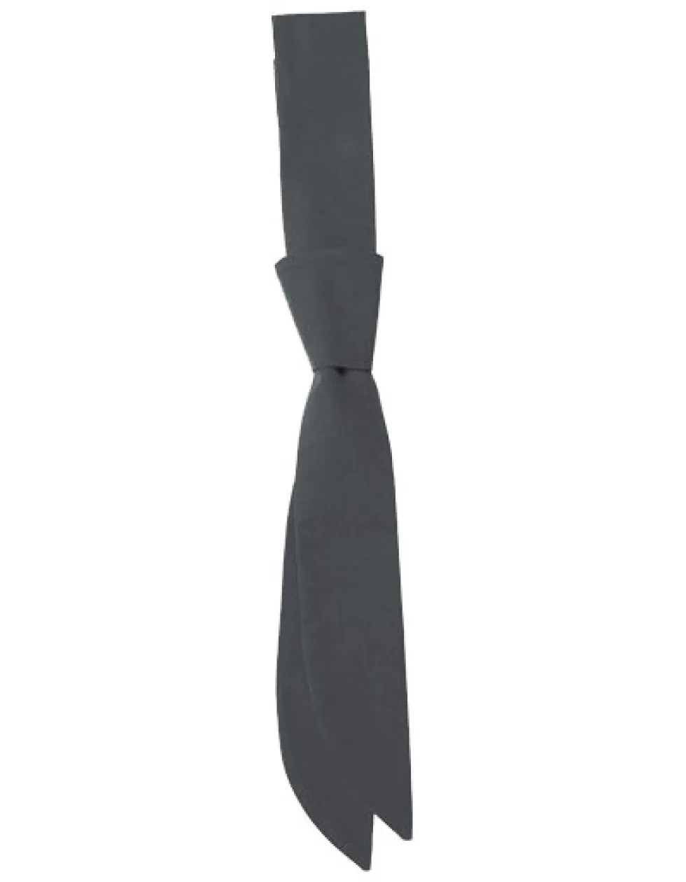 CGW150 CG Workwear Kurzkrawatte Siena