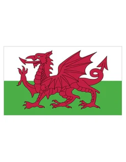 FLAGWLS Fahne Wales