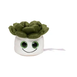 MBW160849 Mbw Schmoozies® Evergreenies® Sukkulente